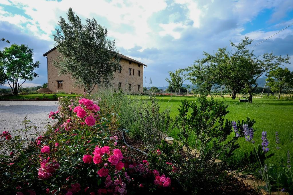 Assisium Agriturismo Exteriér fotografie