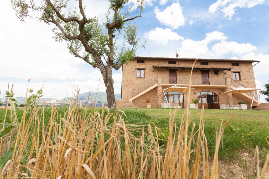 Assisium Agriturismo Exteriér fotografie